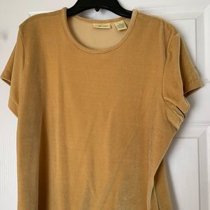 Beautiful velvet suede top